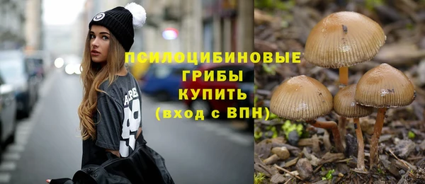 таблы Алексин