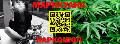 бошки Бийск