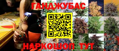 бошки Бийск