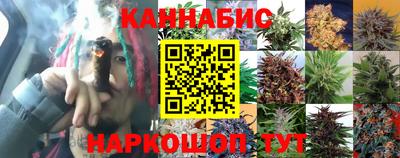 гидра Беслан