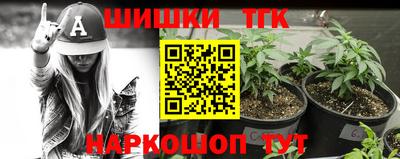 гидра Беслан