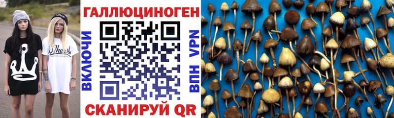 Галлюциногенные грибы Cubensis hydra зеркало Кольчугино цены наркотик