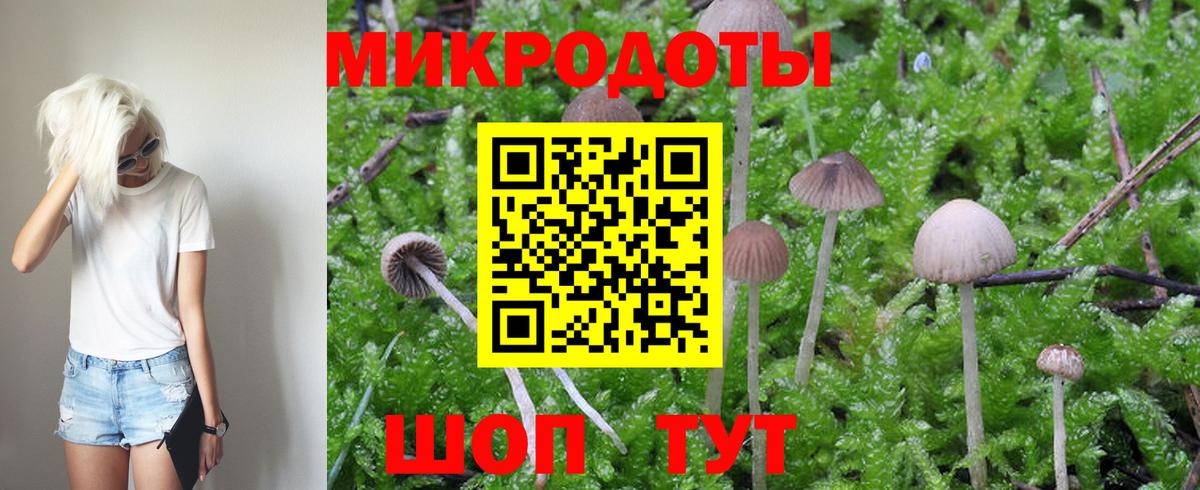 Галлюциногенные грибы GOLDEN TEACHER Кольчугино